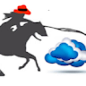 Meet your Posher, Sherry